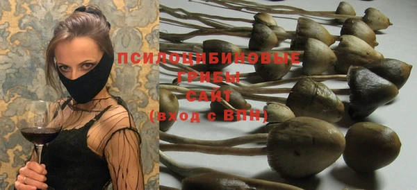 винт Баксан